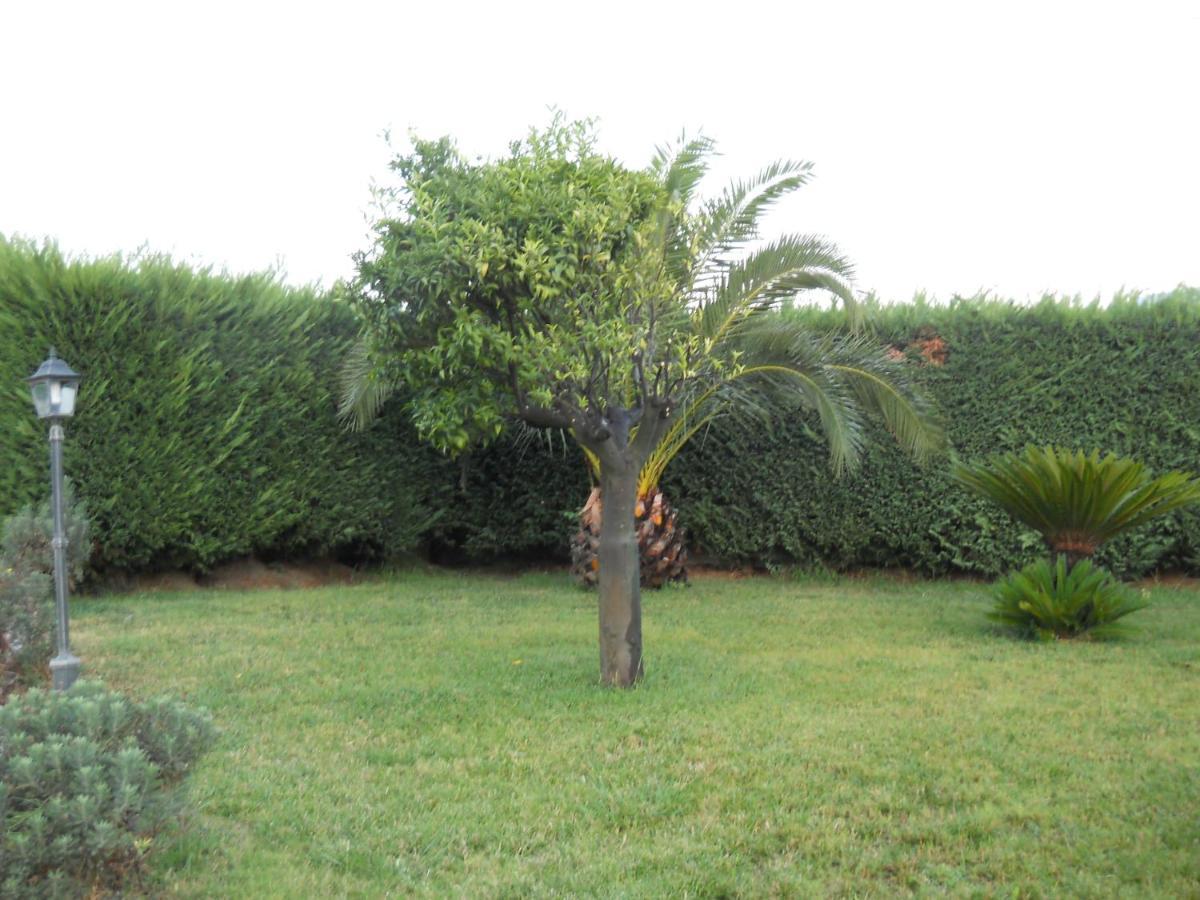 Bed & Breakfast Oasi