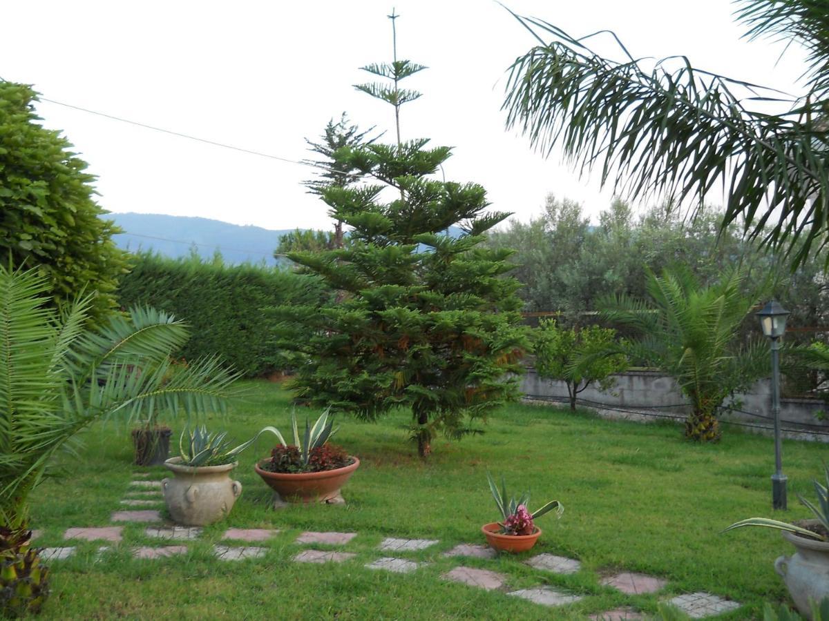 Bed & Breakfast Oasi *