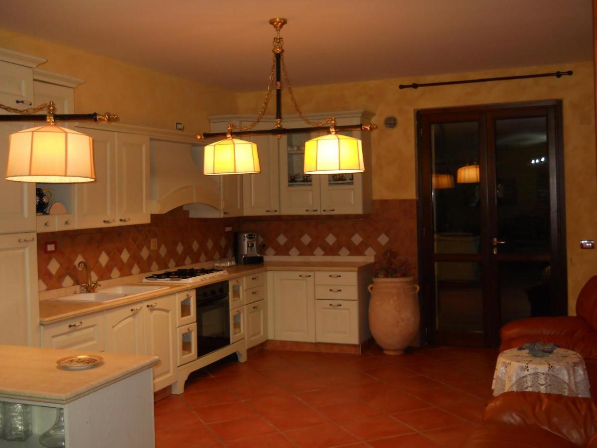 Oasi